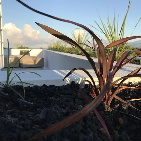 Vinhas Do Calhau Aparthotel 4*