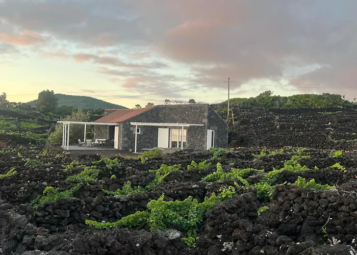 Vinhas Do Calhau Apartmanhotel