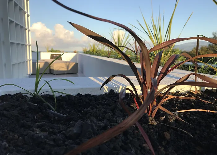 Vinhas Do Calhau Apartmanhotel 4*