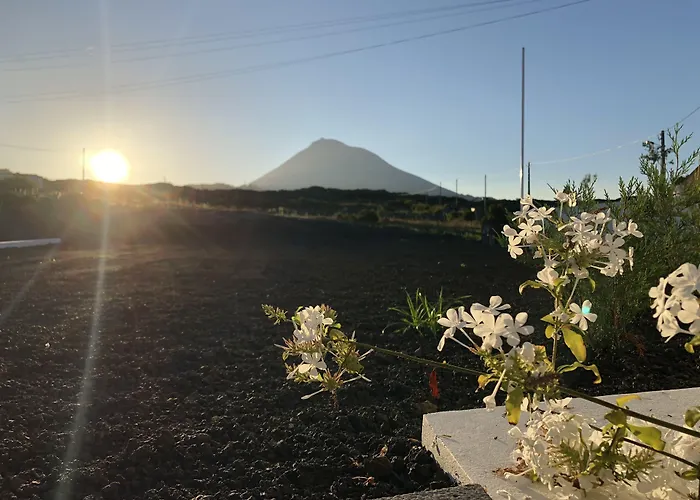 Vinhas Do Calhau 4* Madalena