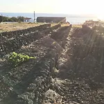 Vinhas Do Calhau 4* Madalena (Azores)