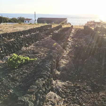Vinhas Do Calhau 4* Madalena (Azores)