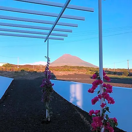 Apart-hotel Vinhas Do Calhau 4*