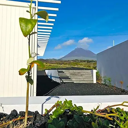 Vinhas Do Calhau Aparthotel Madalena (Azores)