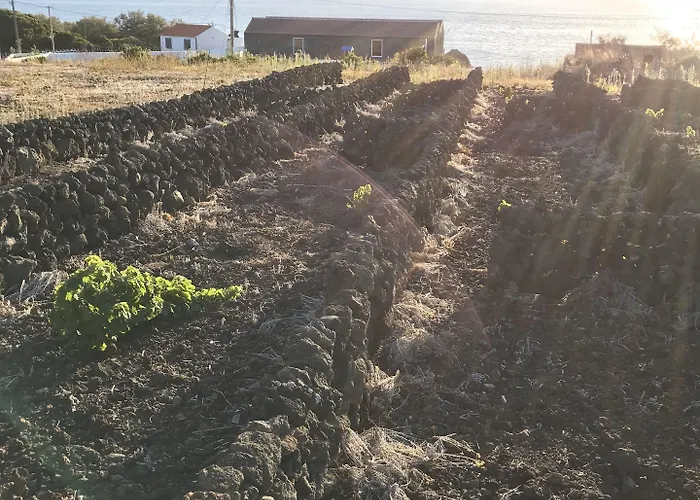 Vinhas Do Calhau 4* Мадалена